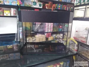 Šestougaoni akvarijum kotobuki