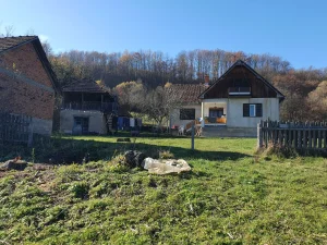 Divcibare/Musici/Kosjeric