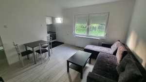 Branka Radičevića, Bor, Bolničko naselje, jednoiposoban, 43 m²