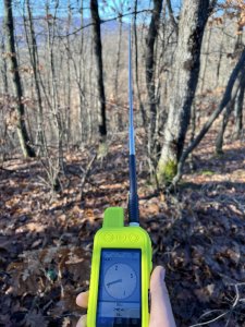 Zastita za Garmin Alpha 200, 300 Maska + Folija + Okovratnik