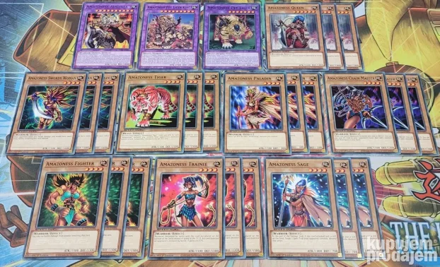 Amazoness Deck Yu-Gi-Oh/YuGiOh/Yu Gi Oh