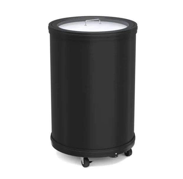 Rashladni frižider za zabave 30l crna