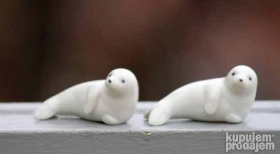 Dve minijaturne foke