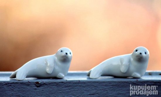 Dve minijaturne foke