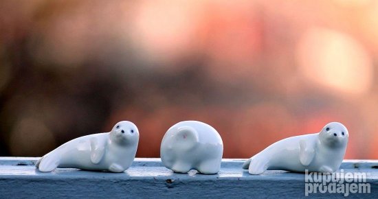 Dve minijaturne foke