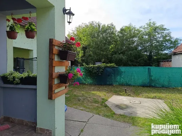 Pansioni za pse Zrenjanin