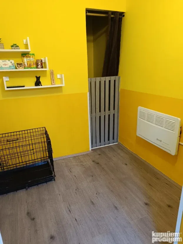 Pansioni za pse Zrenjanin