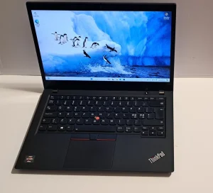 LENOVO ThinkPad T495 8/256