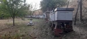 DB12 košnica i pčele