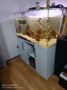 Akvarijum 300l sa ribicama