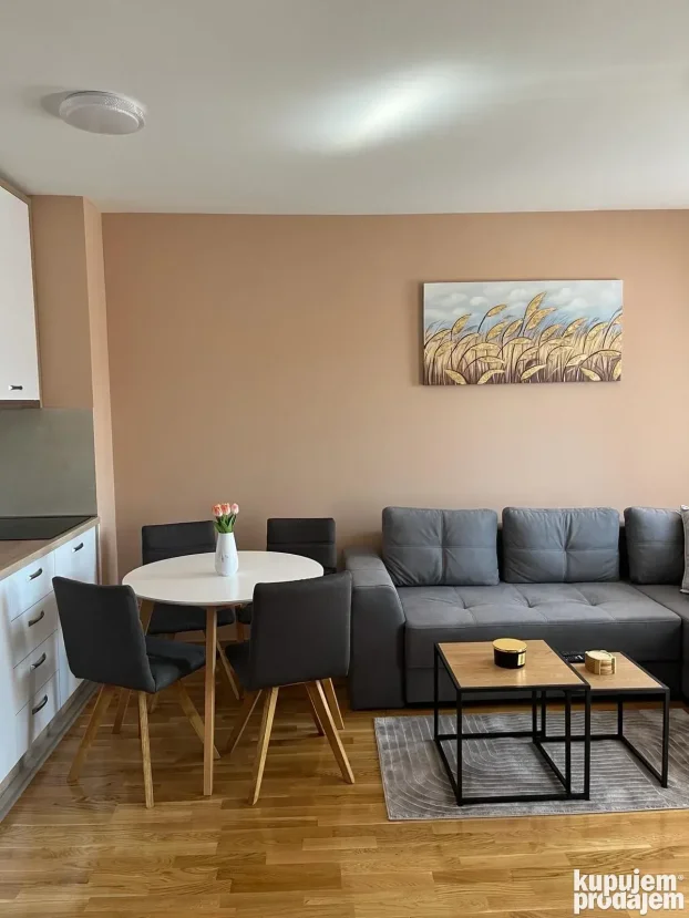 zlatibor apartman izdavanje