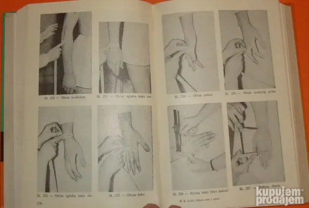 Odnos tela i odela Branislav Gajić