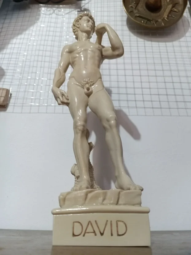 Kamena figura Mikelandjelovog Davida