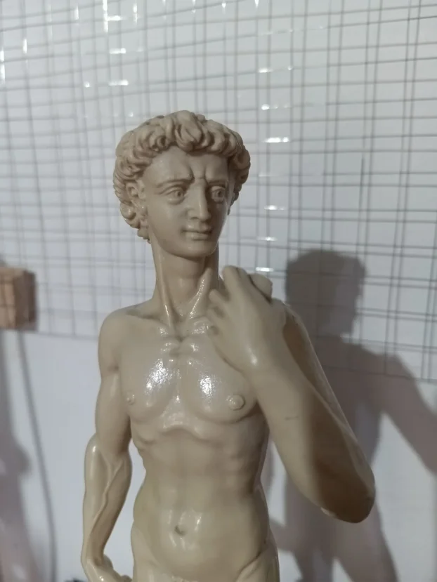 Kamena figura Mikelandjelovog Davida