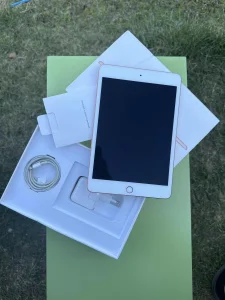 Apple iPad mini 5th gen 256gb