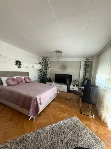 Iznajmljivane stana u Nišu - Stan na dan