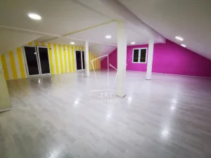 Čedomilja Mitrovića, Cvetanova ćuprija, 5+ petosobna, 520 m²