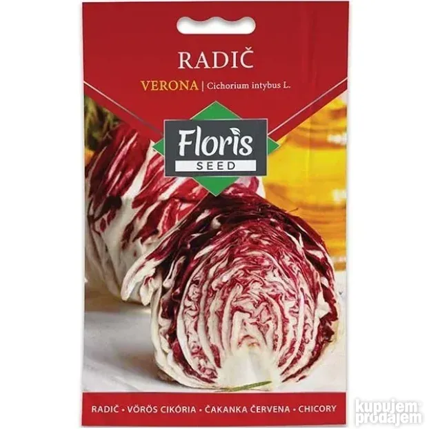 Radič Verona seme 1g - 10kom. FLORIS