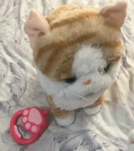 Mače na povodcu plišana igračka mačka - mače