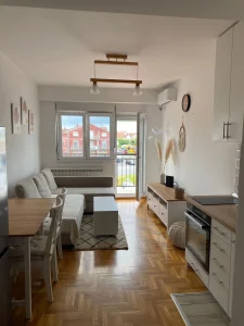 Izdajem garsonjeru na Ledinama