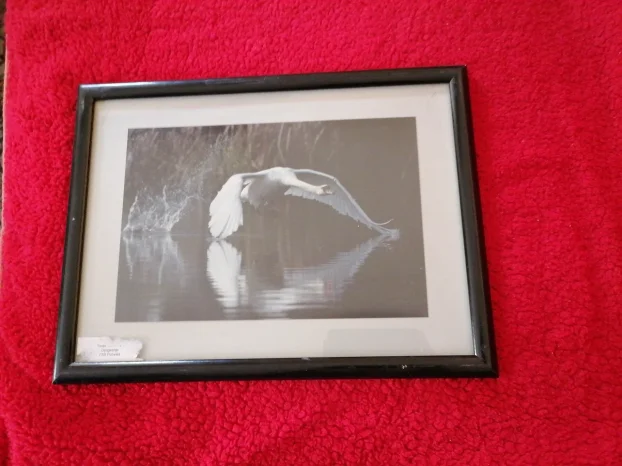 Umetničke fotografije cena po komadu