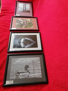 Umetničke fotografije cena po komadu