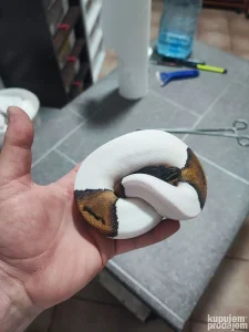 Loptasti pitoni (P.regius)