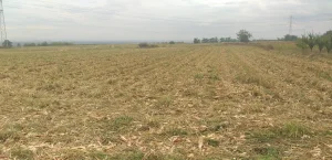 poljoprivredno zemljiste