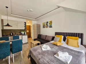 Stefana Prvovenčanog, Kopaonik, Čajetinska česma, 0.5 garsonjera, 24 m²