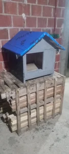 Kucice za psa Kraljevo