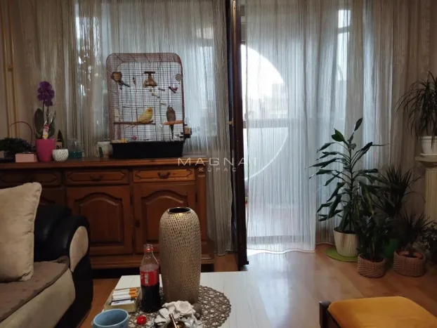 Vidikovački venac, Vidikovac, Rakovica, Beograd - KupujemProdajem