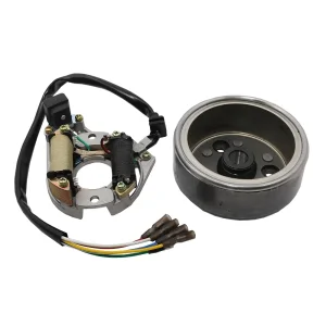 Ploča paljenja + magnet ATV 50cc 110cc dva namoja