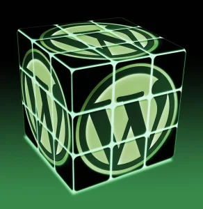 Wordpress sajt