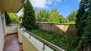 Plavi horizonti, Zemun, Beograd