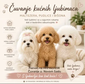 čuvanje manjih kuca