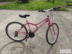 Bicikla 26