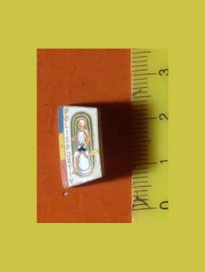 Romanian  Pin Polisportiv