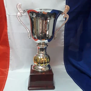 Sportski pehar