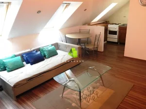 Jednoiposoban stan u strogom centru grada