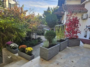 Betonske zardinjere Beograd