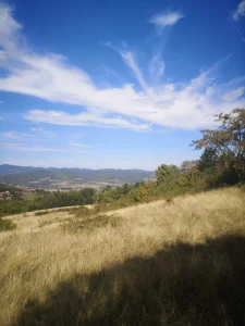 Knić, Konjuša, 1.0 jednosobna, 22000 m²