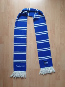 Navijacki sal Hertha BSC