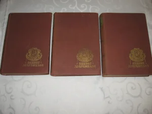 Vikont de Braželon - Aleksandar Dima