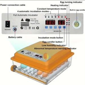 automatski inkubator sa okretanjem 36 jaja kokosjih