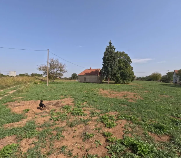 Izdavanje, Plac 64 ara sa starom kućom 104m2, Stubline