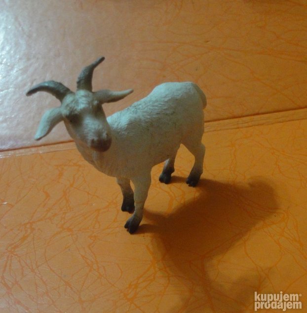 Jarac collecta glavni baja iz mog kraja