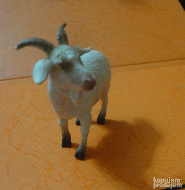 Jarac collecta glavni baja iz mog kraja