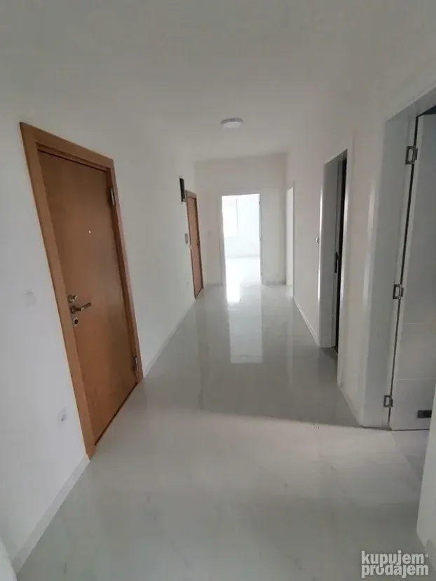 Opština Novi Sad, 5+ petosobna, 496 m²