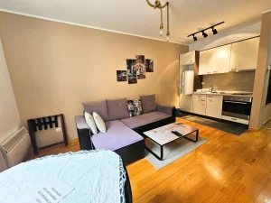 Kopaonik, Brzeće, 1.0 jednosoban, 42 m²