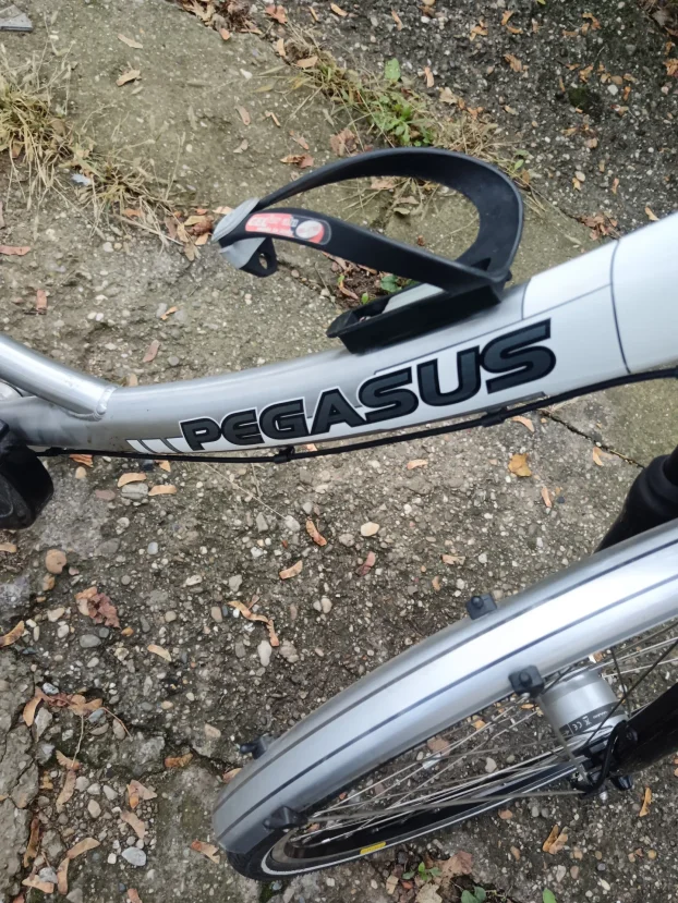 Pegasus premium SL